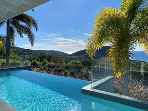 Outdoor pool - Coco Cannelle Prestige Villa Sea View with infinity pool (Above Grande Anse beach) (DESHAIES)