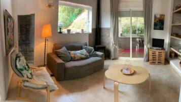 Televisie, een open haard en boeken