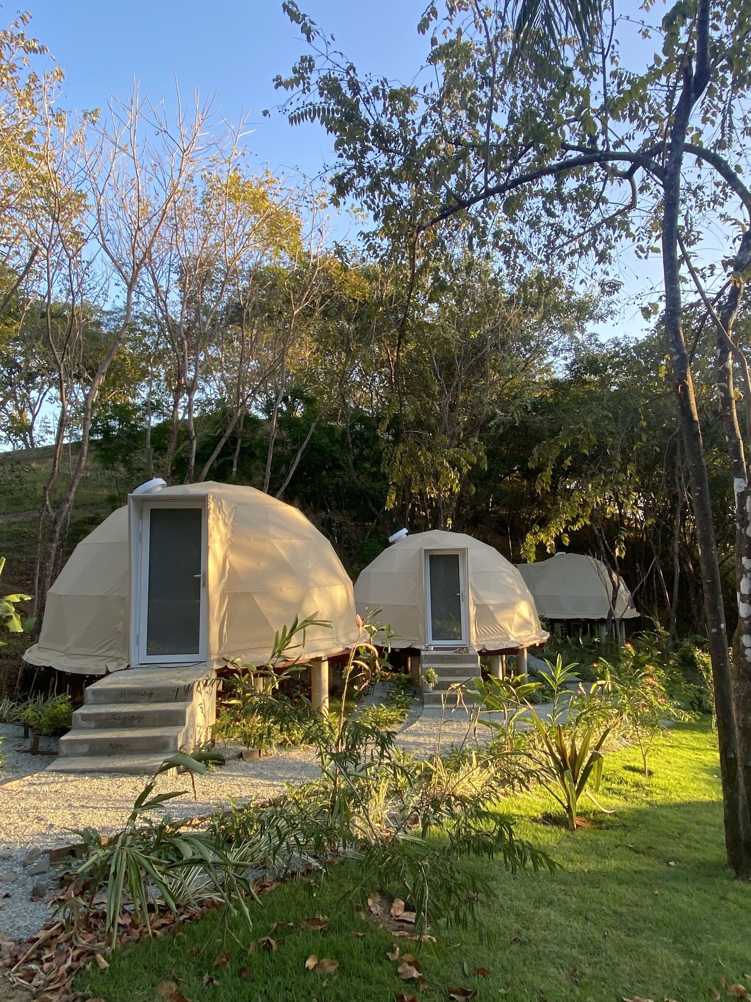 Two dome-shaped tents with a door and steps leading up to them, surrounded by greenery and trees.