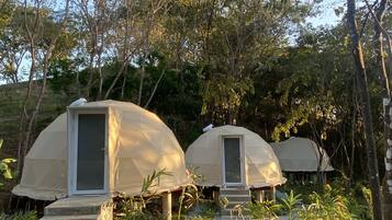 Two dome-shaped tents with a door and steps leading up to them, surrounded by greenery and trees.