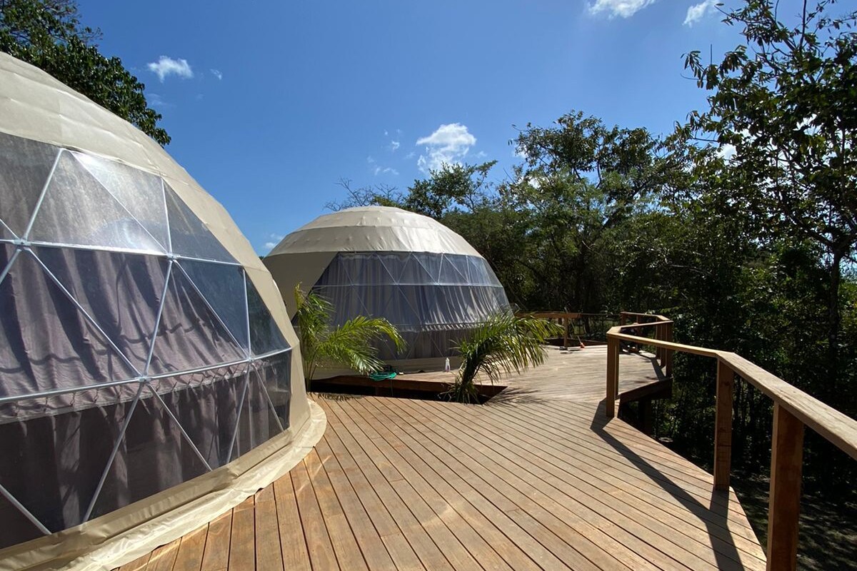 Una terrassa de fusta que condueix a estructures en forma de cúpula geodèsica en una zona boscosa.