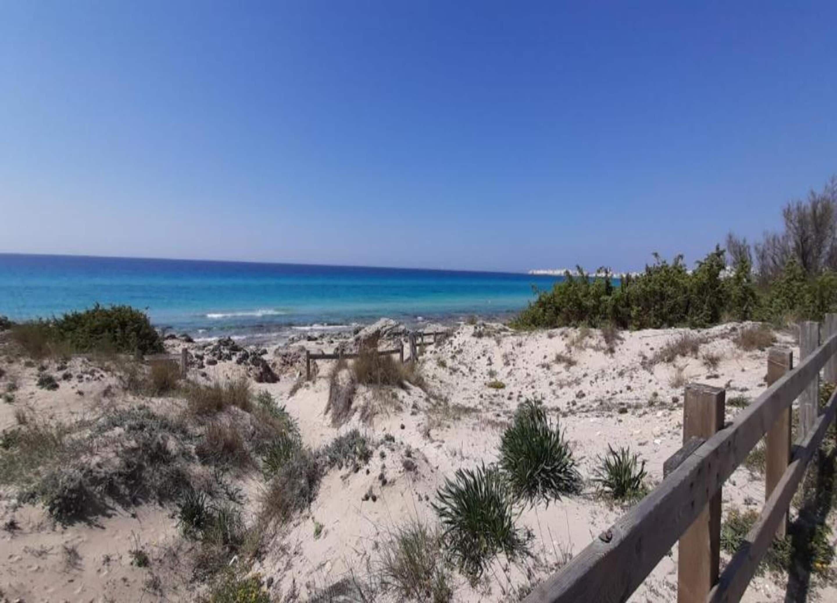 A sandy beach with a wooden fence and sparse vegetation.