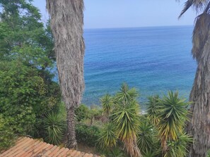 A coastal view with a clear blue sea, palm trees, and a tiled roof. - Beautiful Apartment in Vecchia With Pool (Briatico)