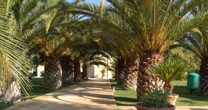 Holiday Home in Trinitapoli Near Adriatic Sea