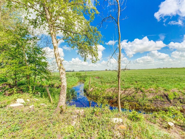 A rural landscape with a stream, trees, and a clear blue sky. - Chalet With Hot Tub, Suwald (Suwâld)
