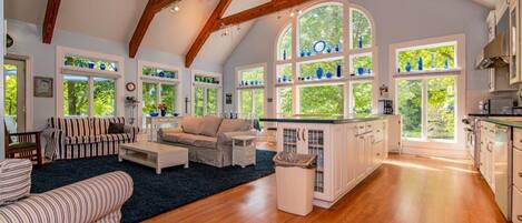 Smart TV, fireplace, books