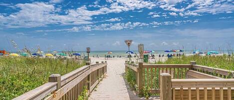 بالقرب من الشاطئ