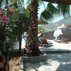 Un área junto a la piscina con sillas de descanso y una palmera.