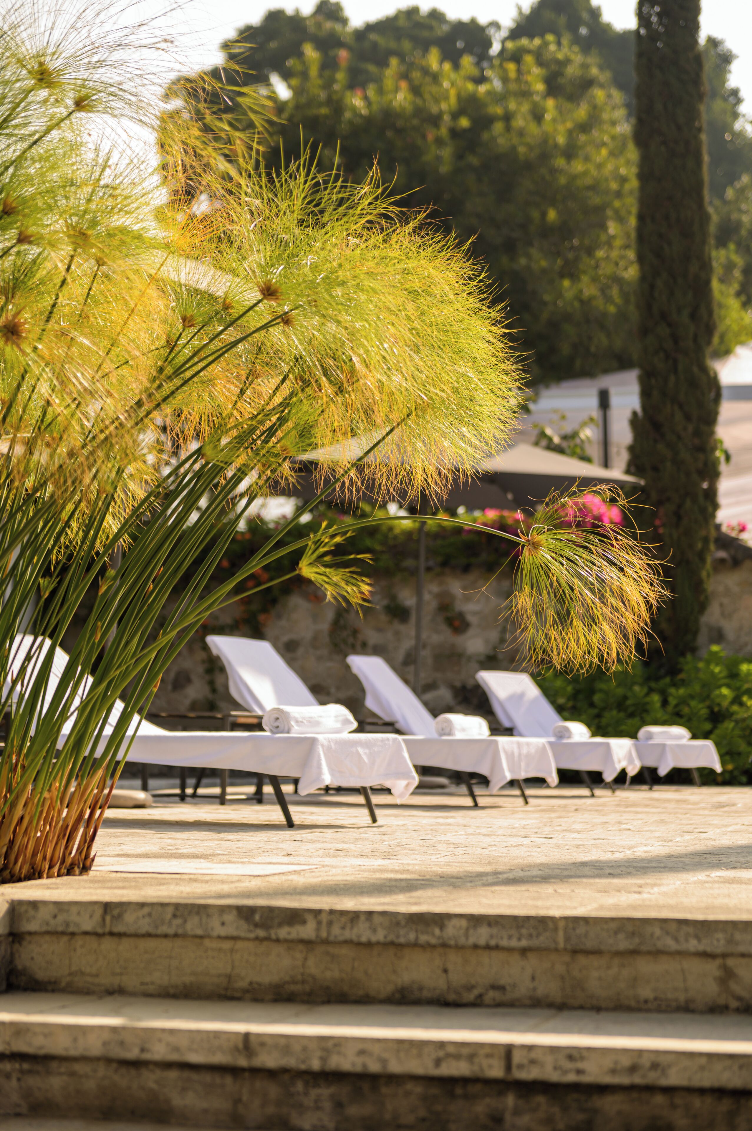 Kolam renang outdoor