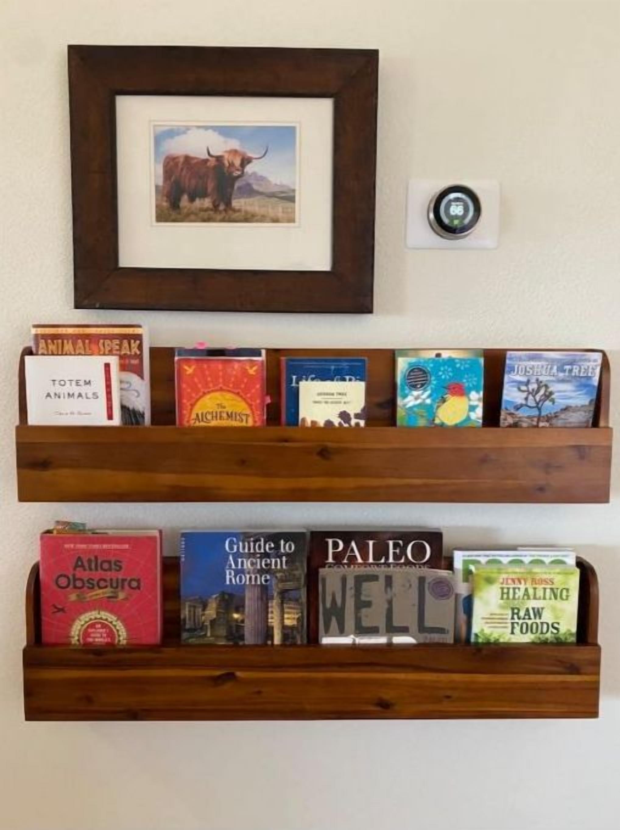 Una estantería con libros de diversos temas, un cuadro enmarco y un termostato.