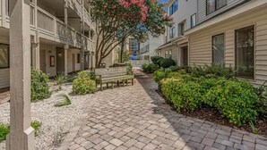 A courtyard with a paved walkway, a wooden bench, and a tree with pink flowers.