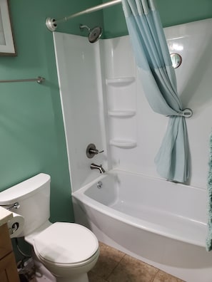 Un bagno con il water, una vasca e una doccia.