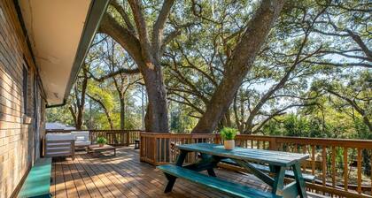 HUMMINGBIRD HAUS \\ 6 Bedrooms \\ Mid-Century \\ 2-Unit Home \\ 2 Kitchens