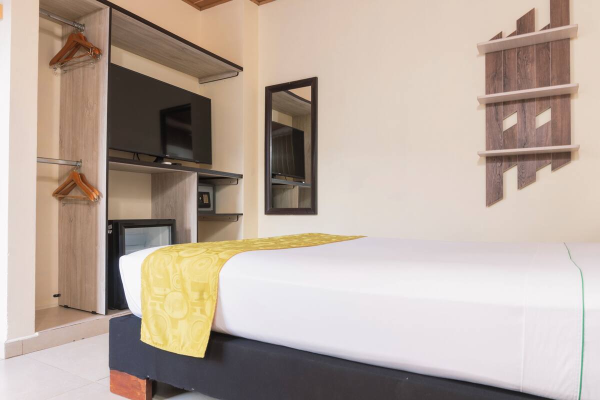 Un dormitorio con cama, armario, espejo y televisión.