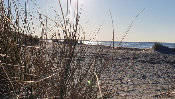 Ein Strand mit hohem Gras im Vordergrund und einem klaren Himmel.