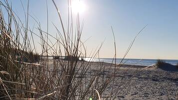 Ferienhaus | Blick von der Unterkunft