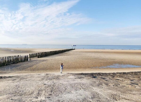 Apartment | View from property - Apartment in Zoutelande Near Sunny Beach (Zoutelande)