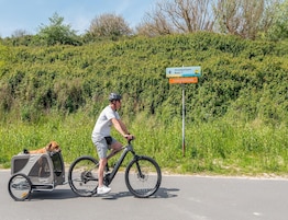 A person riding a bicycle with a dog in a carrier on a road with a signpost indicating directions.