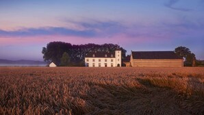 A large building with a tower, surrounded by a field of crops, likely wheat, under a clear sky. - Stately 16-person Manor Farm in South Limburg (Schimmert)