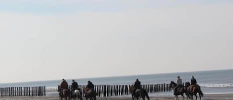 Apartment | View from property