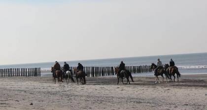 Studio in Domburg Near Beach and Golf