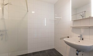 Bathroom features a shower area, sink, and mirror.