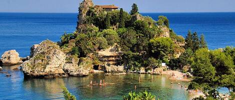 House | View from property