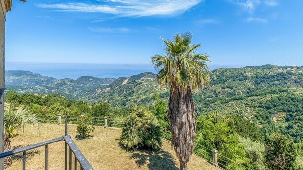 A balcony with a view of a palm tree and a mountainous landscape. - Lavish Sicilian Villa With Pool (Ficarra)