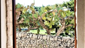A stone wall with a cactus garden. - Belvilla by OYO Acanto Bilocale (Modica)