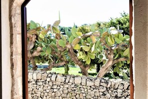 Apartment | Blick von der Unterkunft