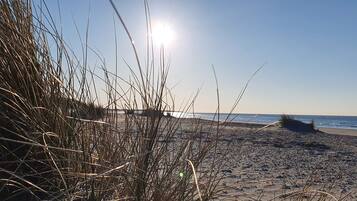 House | View from property