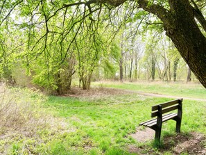 House | View from property - Peaceful Family Home in Elim (Elim)