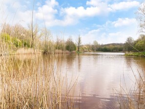 View from property - Peaceful Family Home in Elim (Elim)