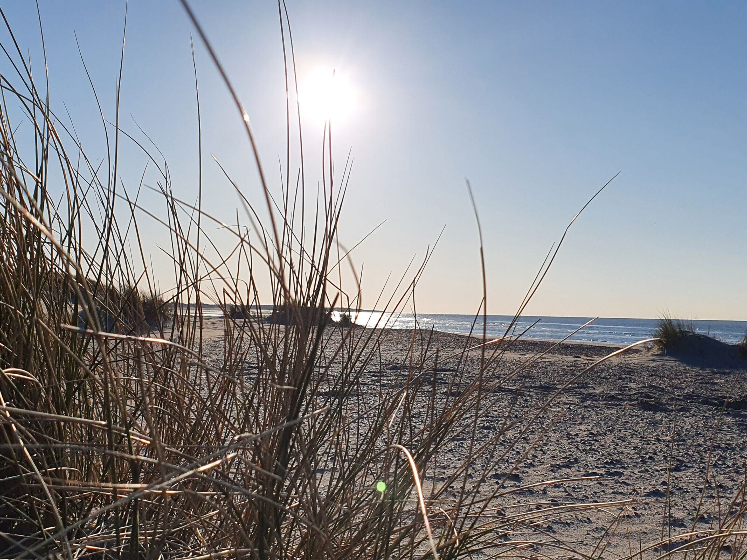 الإطلالة من المنشأة