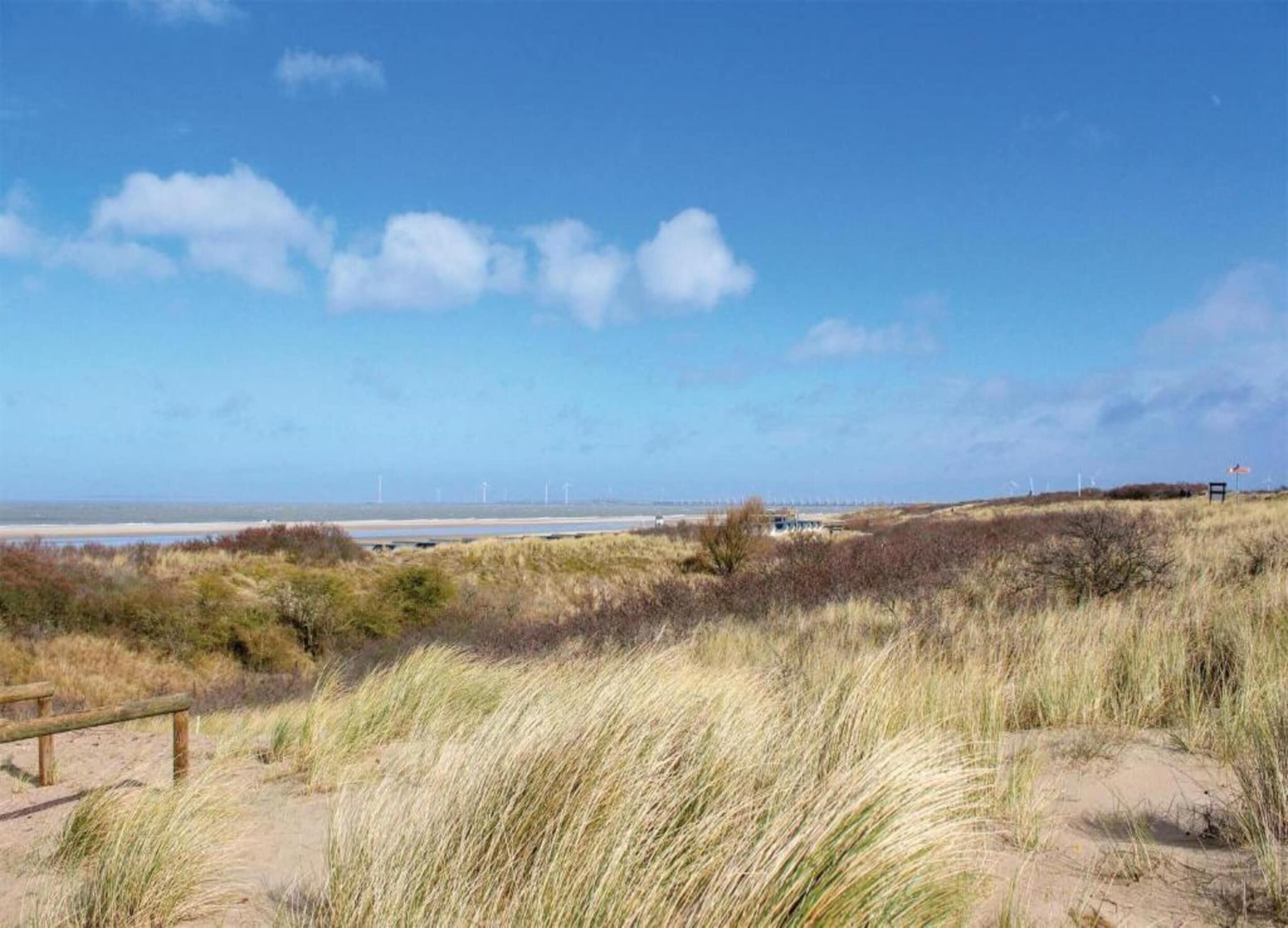 A coastal landscape with dunes, a wooden fence, and wind turbines in the distance.