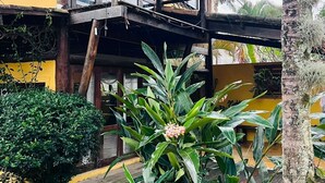 A two-story building with a balcony, surrounded by lush greenery and a palm tree. - Relax and enjoy recess time (RIO DE JANEIRO)