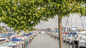 A marina with boats docked along the water, a tree in the foreground, and a paved walkway. - Bungalow Near Oosterschelde Beach (Kamperland)