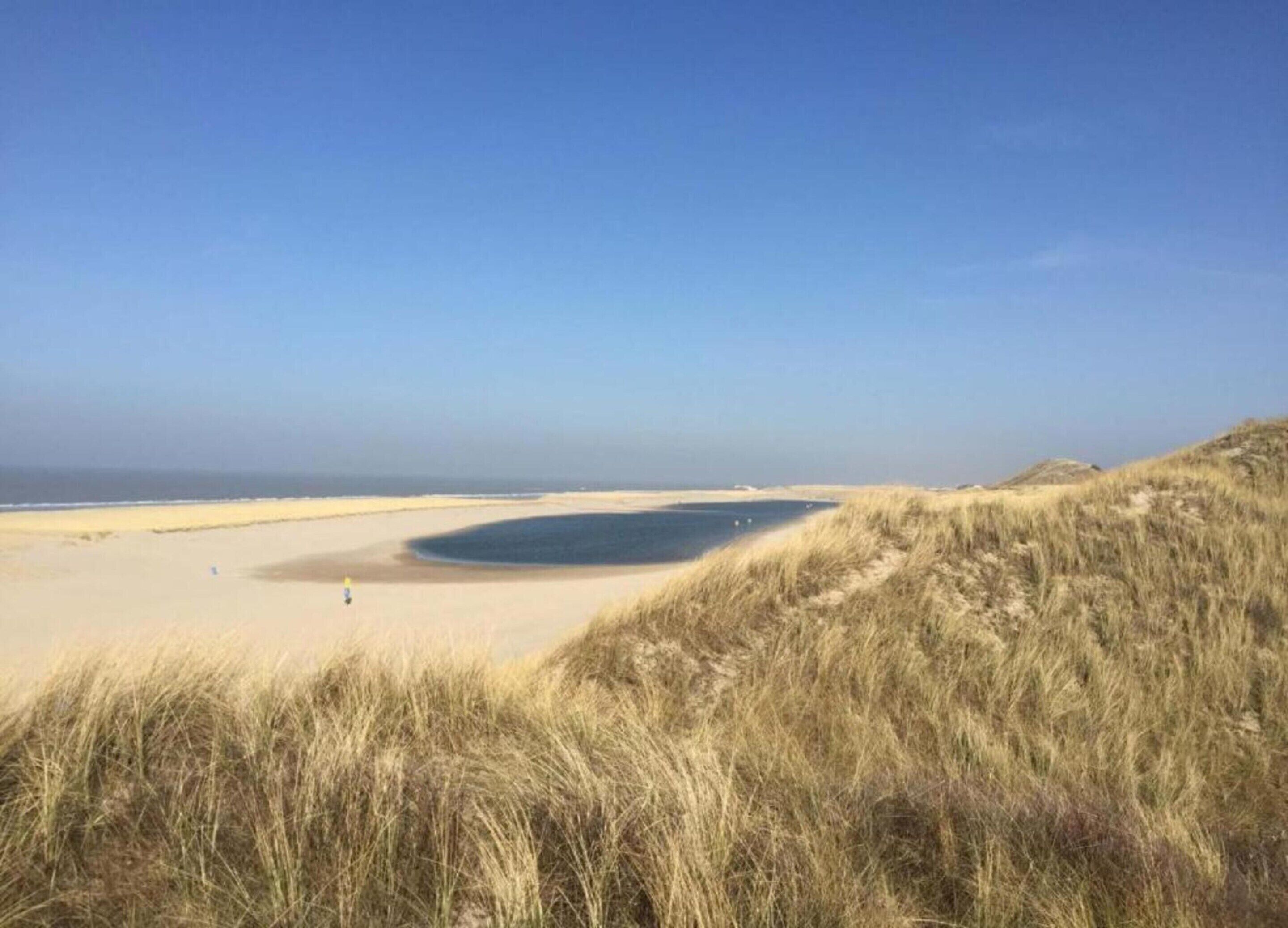 House | View from property