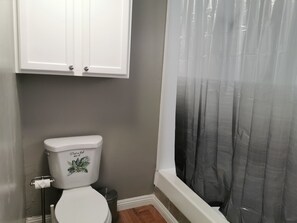 Shower, hair dryer, towels, soap - Monthly Rent Sun Retreat #2 (Pahrump)