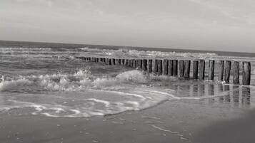 Căn hộ | Quang cảnh nhìn từ nơi lưu trú