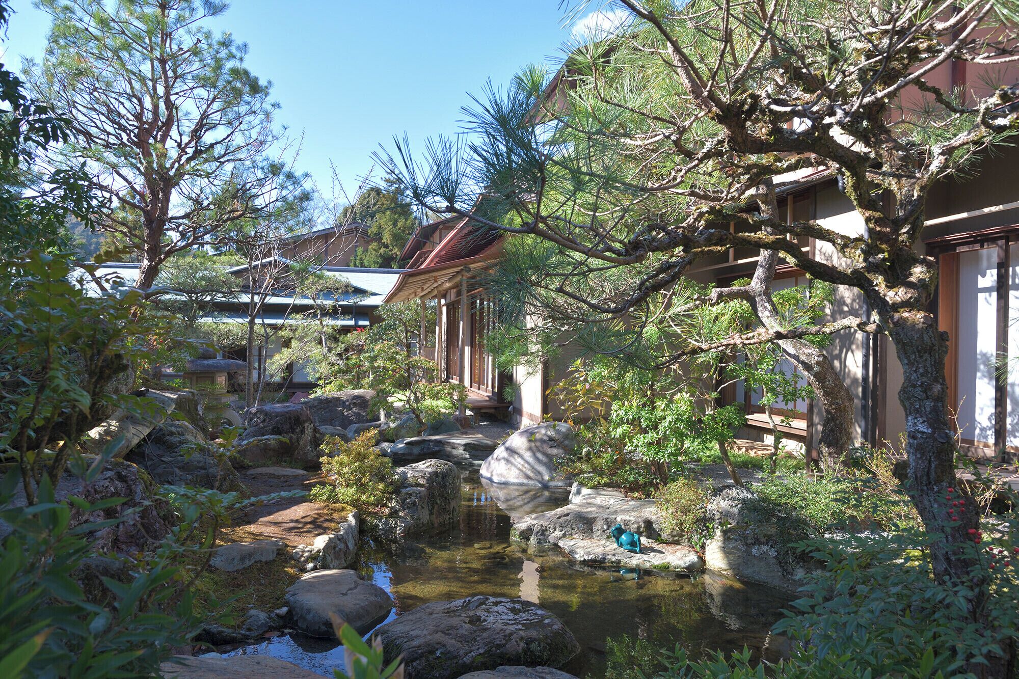A traditional Japanese garden with a small pond, rocks, and various plants.