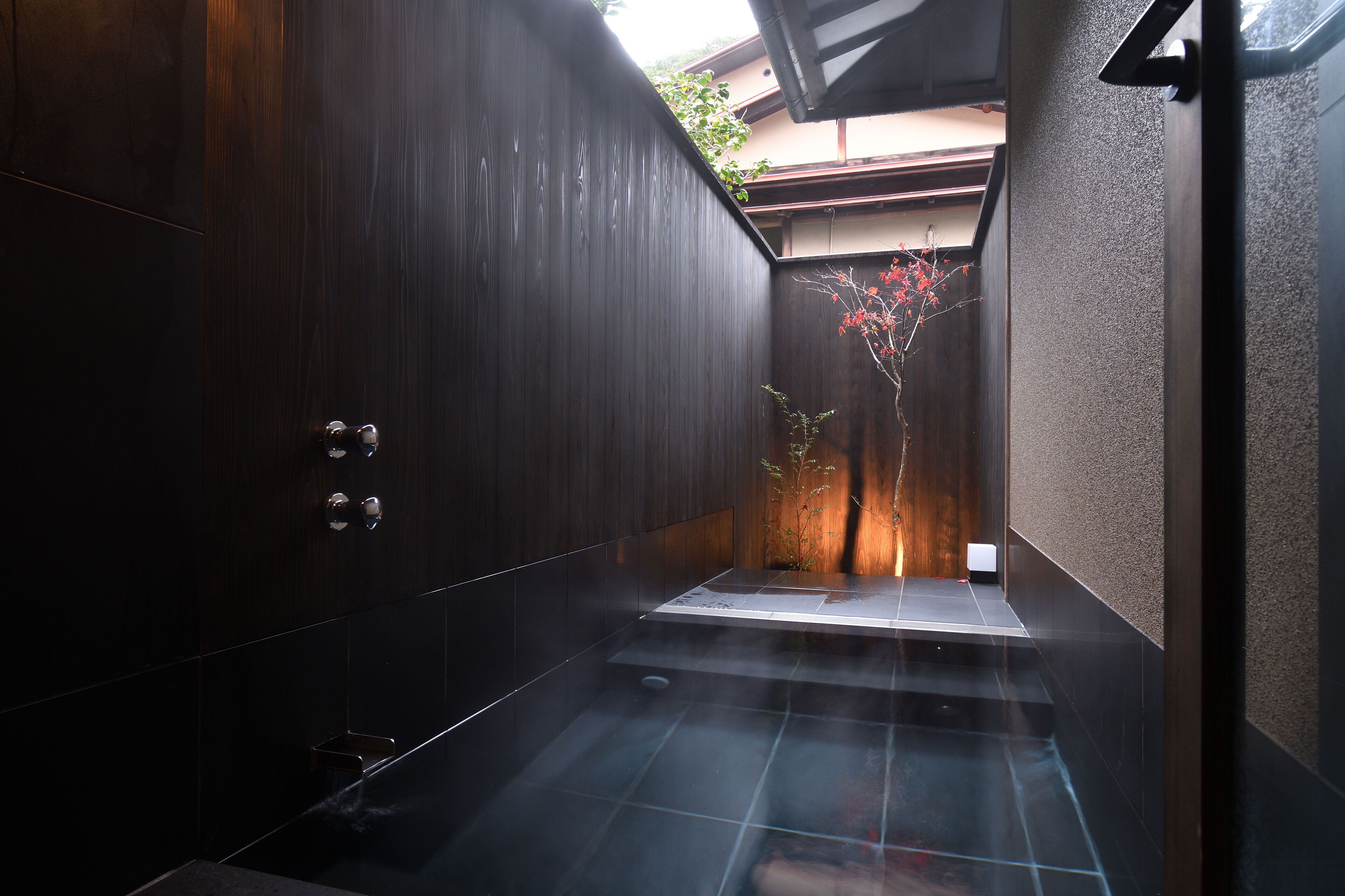 Un baño moderno con paredes de madera oscura, cabina de ducha de vidrio y una pequeña planta.