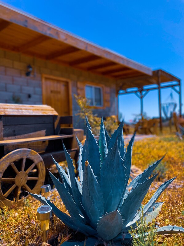 Detall de l'exterior