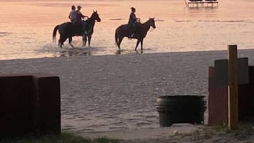 Playa en los alrededores
