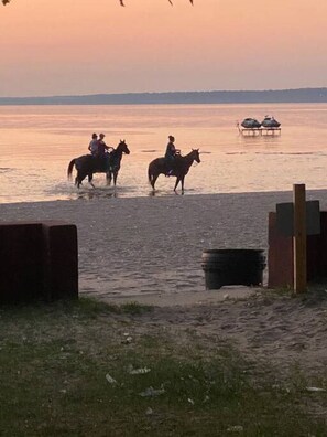 Una spiaggia nelle vicinanze