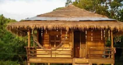 Naks Shack