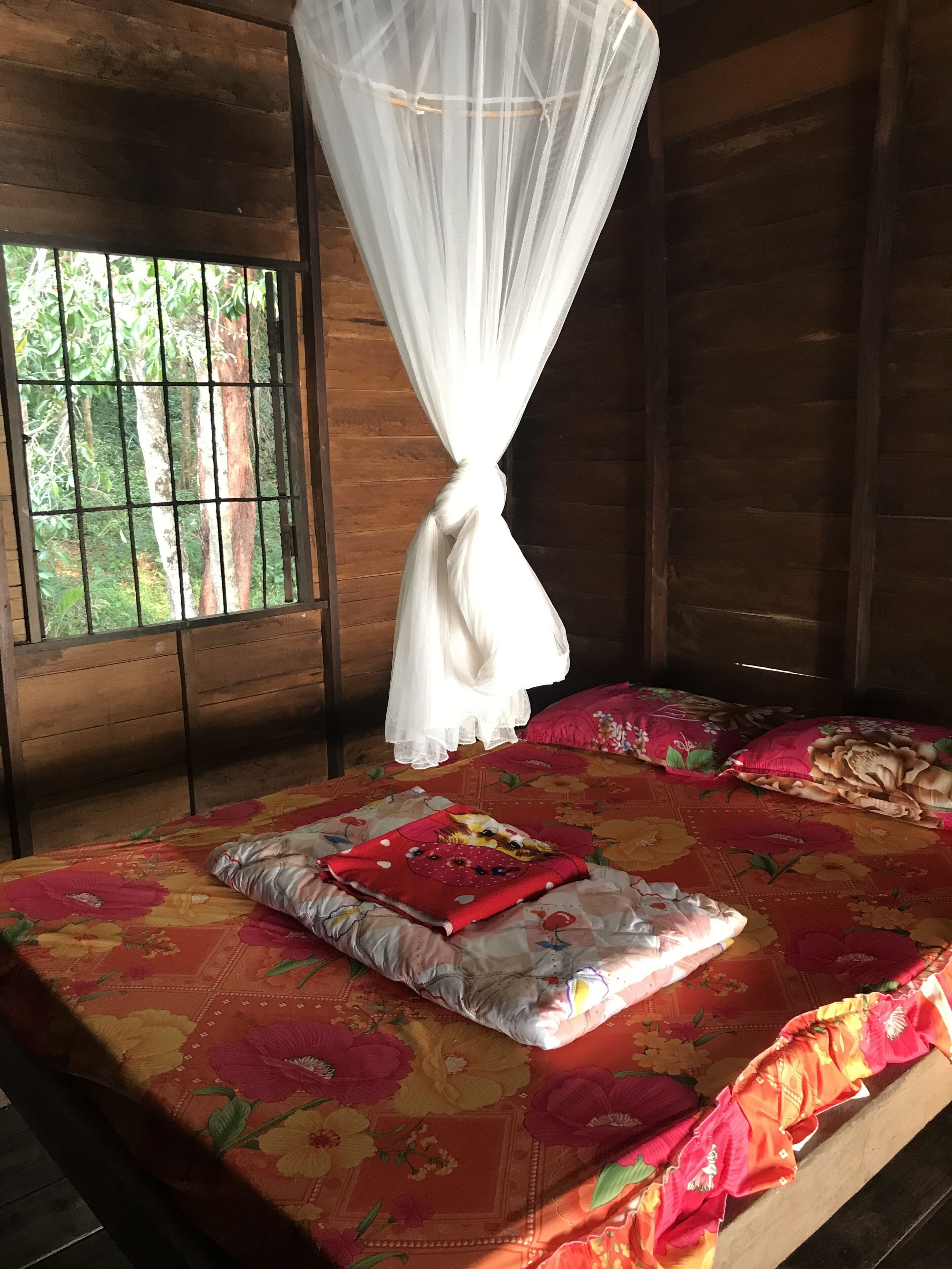 基本小屋, 1 間臥室, 非吸煙房, 海景