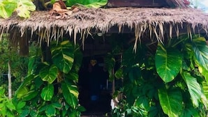 A rustic wooden structure with a thatched roof, surrounded by lush green foliage. - Naks Shack (Prey Nob)