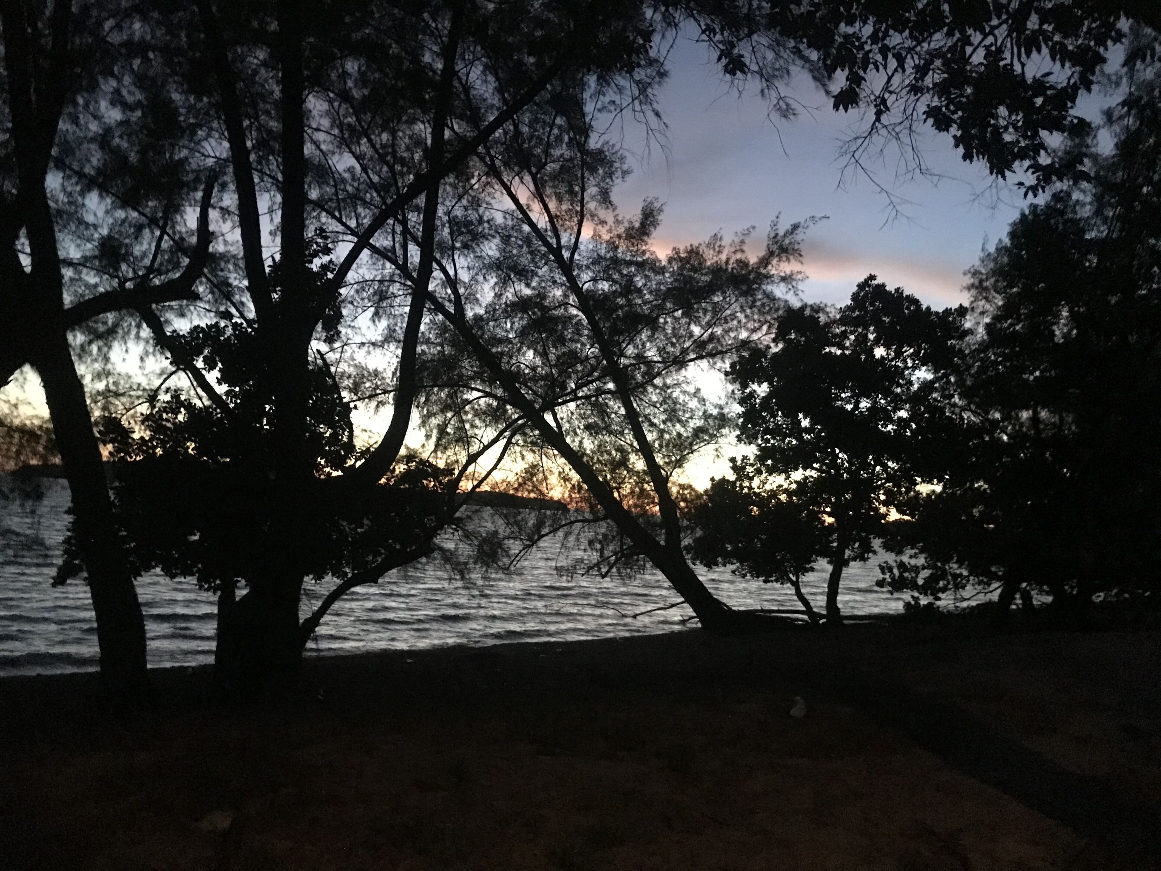 Basic Cabin, 1 Bedroom, Non Smoking, Ocean View