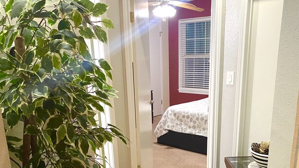 Un couloir avec une plante, un lit recouvert d’une couvre-lit à motifs, un ventilateur de plafond et une fenêtre avec des stores.